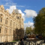 London’s Museum of Natural History
