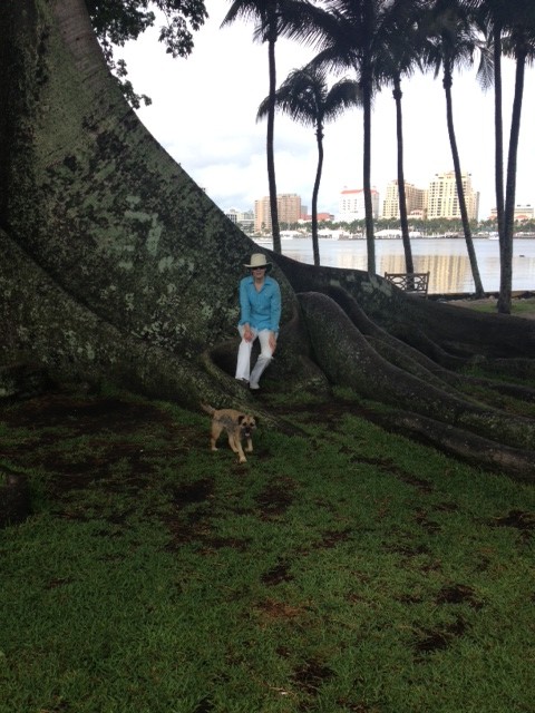 Palm Beach excursion with Dog